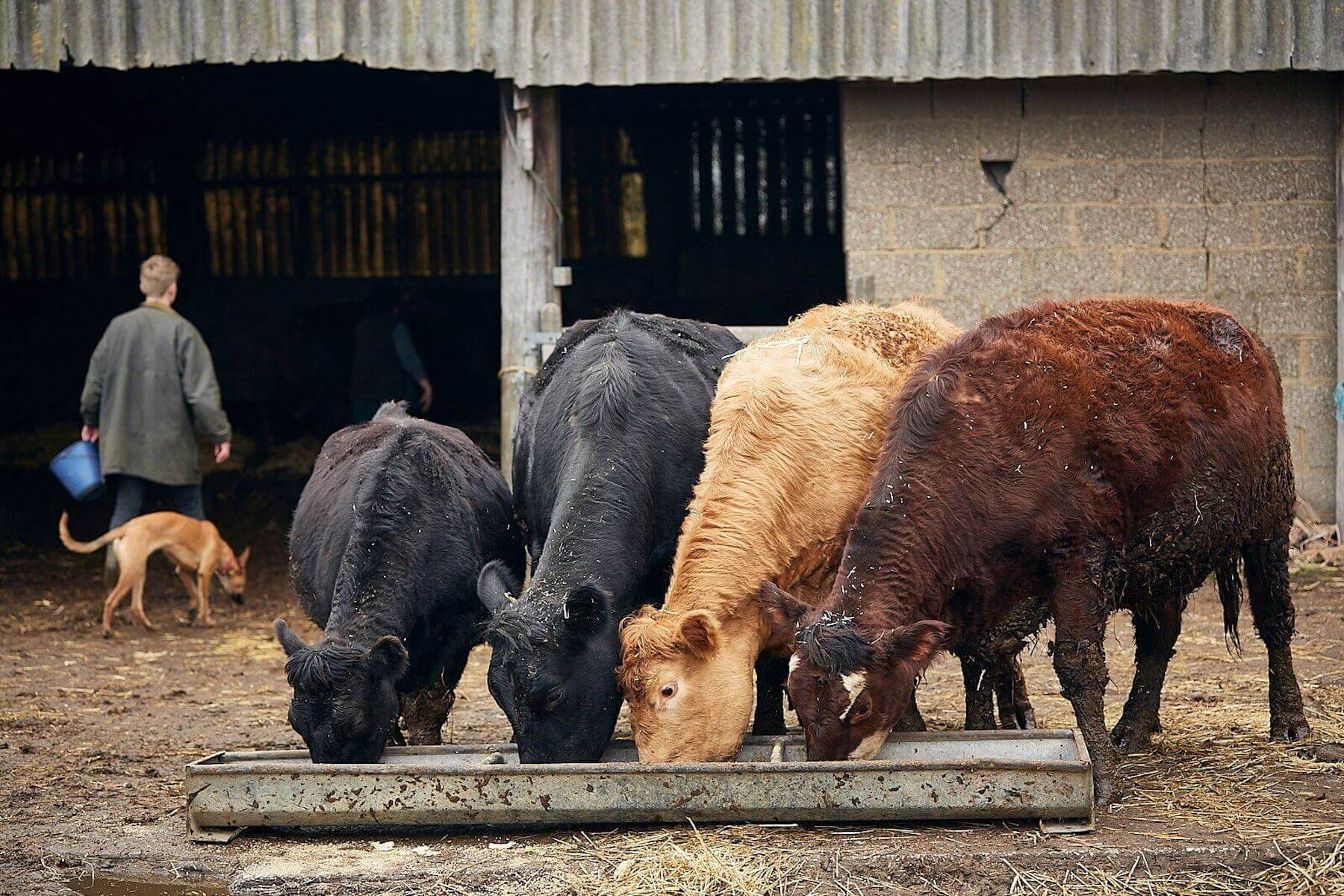 British Farming