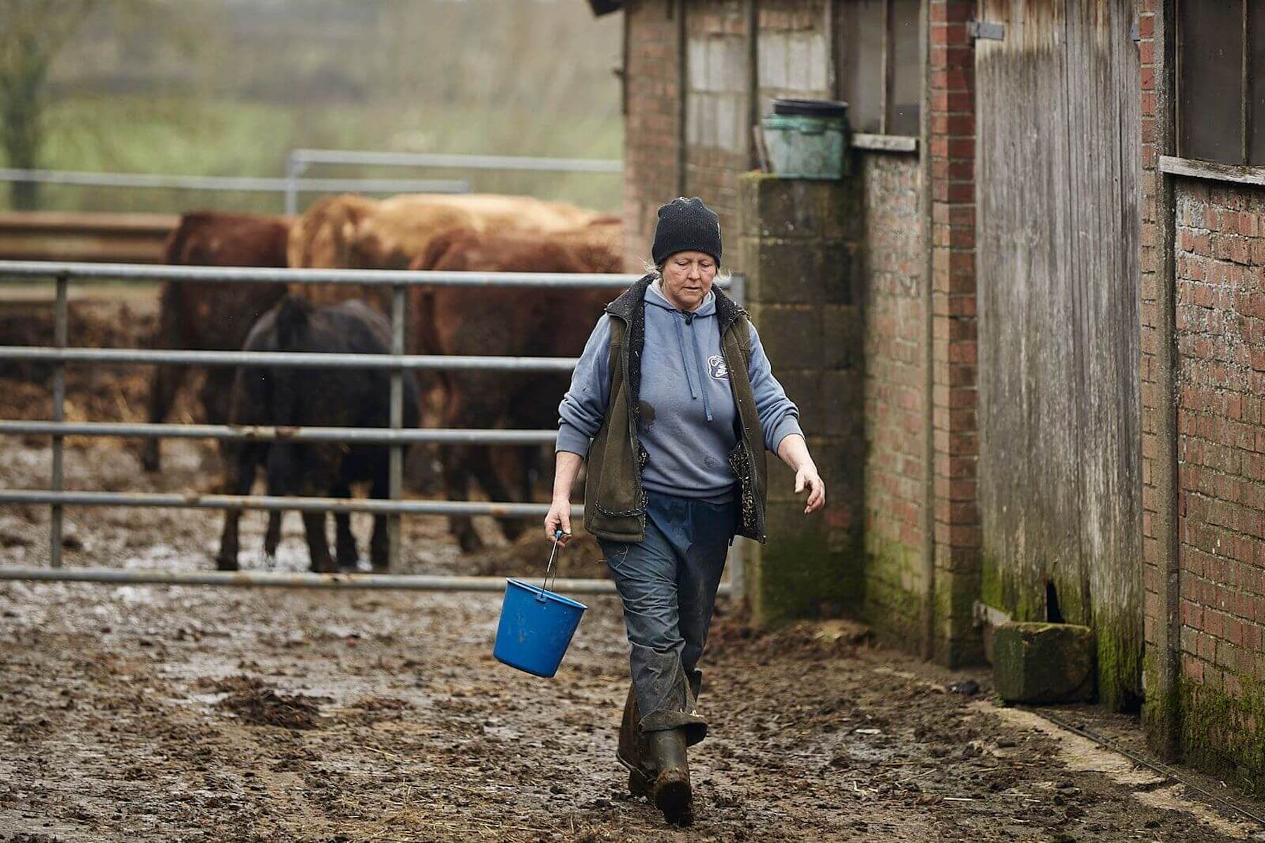 British Farming